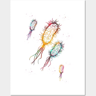 Escherichia coli Posters and Art